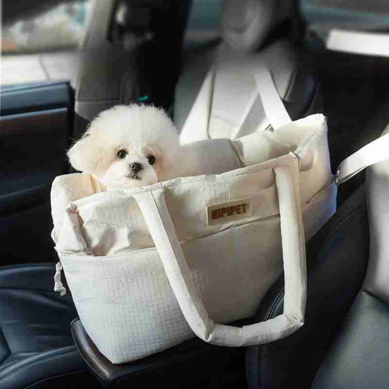 Dog in pet carrier with safety leash