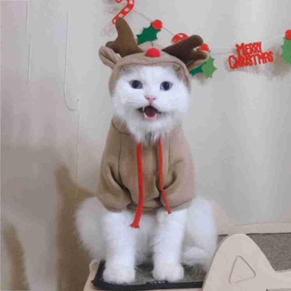 Pet reindeer hoodie for dogs