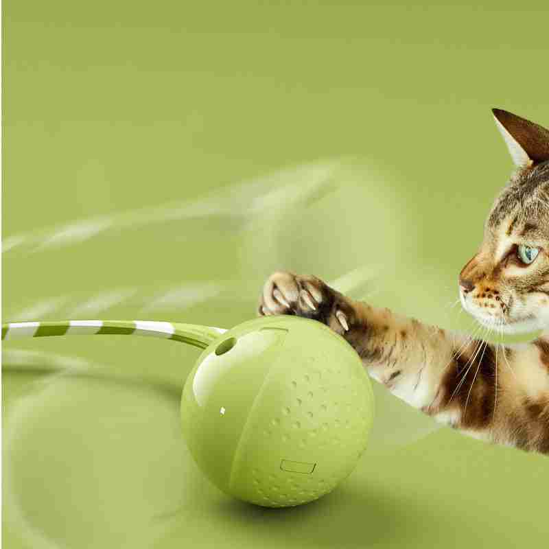 Cat chasing interactive electric cat toy ball on floor